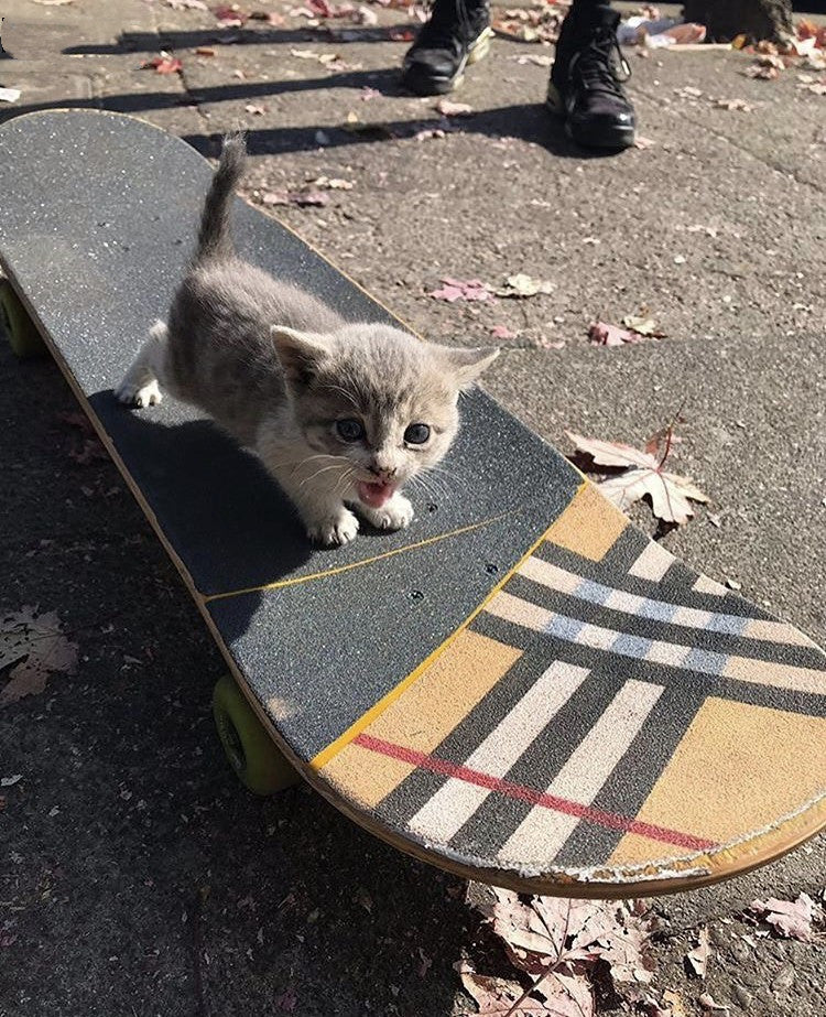 Damn Brown Plaid Sandpaper Skateboard Sandpaper Ins Same Type Sandpaper Double Warped Longboard Diy