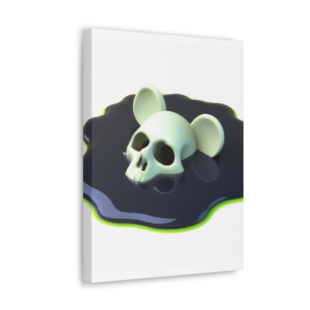 🫠 Canvas Gallery Wraps - Random the Ghost