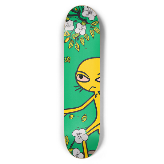 Random Skateboard