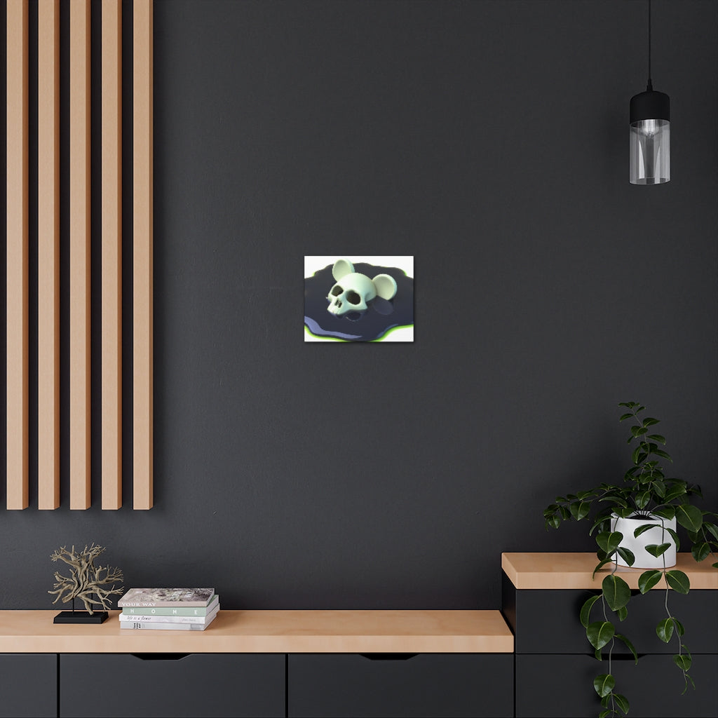 🫠 Canvas Gallery Wraps - Random the Ghost